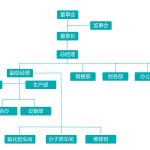 陈颖书记一行在华侨集团开展工作调研